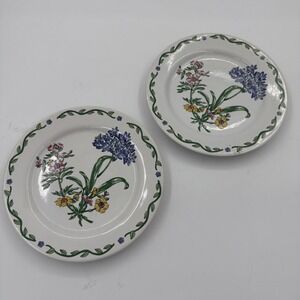 International Tableworks TERRACE BLOSSOMS 7 7/8" Salad Plates -‎ Set of 2